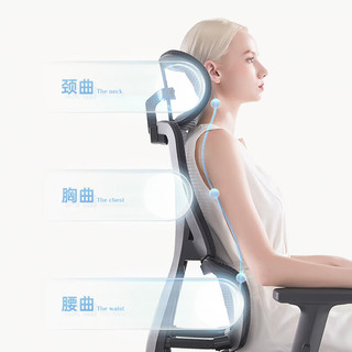 HBADA 黑白调 E2人体工学电脑椅办公椅