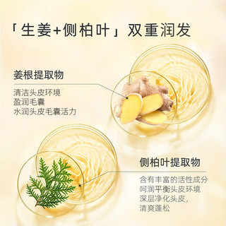 SOFTTO 索芙特 生姜洗发水老姜汁控油净屑清爽发丝强韧发根柔顺秀发 生姜洗发水500g*2