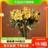 88VIP：花点时间 六出花20枝水仙百合花苞发货云南顺丰包邮