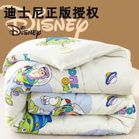 Disney 迪士尼 A类被芯大豆纤维被子秋冬被加厚保暖被（秋冬被2斤）