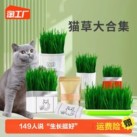 千僖宠 猫草无土盆栽化毛草种子非已种好懒人幼猫小麦种子有机猫咪零食品