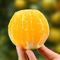 早小鲜 云南冰糖橙新鲜橙子1个当季水果整箱现摘玉溪手剥橙果冻橙哀牢山