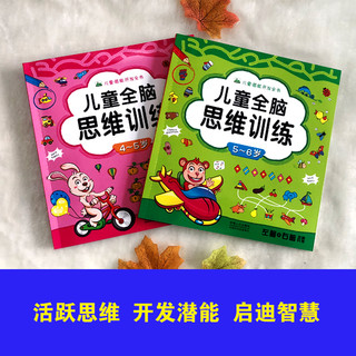晨风童书 儿童潜能开发全书儿童全脑思维训练左右脑开发4-5-6岁（套装2册）