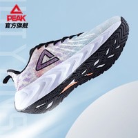 京东百亿补贴：PEAK 匹克 态极 男款运动跑鞋 DH220037