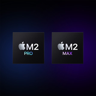 Apple MacBook Pro 14英寸 M2 Pro芯片(12核中央处理器 19核图形处理器)16G 1T银色 笔记本电脑 MPHJ3CH/A