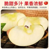 昭通苹果 2023年新果云南丑苹果5斤（85mm左右） 冰糖心稀有水果礼盒整箱