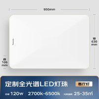 Panasonic 松下 HHLAZ6078LS 全光谱金边明畔客厅吸顶灯 120W