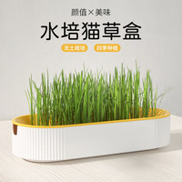 HOUYA 猫草盆水培猫草盒套装 宠物用品猫咪零食猫薄荷种植水培盒 绿色