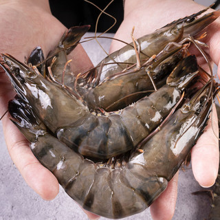 Seamix 禧美海产 马来西亚活冻黑虎虾300g/盒 10-12只(大号) 老虎虾 大虾 烧烤