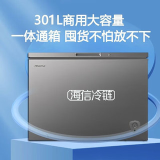 海信（Hisense）冰柜商用家用大容量冷柜一级能效 无需除霜商用大冰柜 冷藏冷冻柜 海鲜速冻BD/BC-308