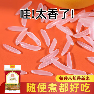 佼稻香 猫牙米 2023年新米上市泰香米 大米 长粒香丝苗米大米 长粒米 10kg防潮包装