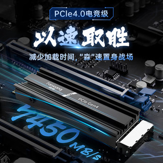 FANXIANG 梵想 2TB SSD固态硬盘 M.2接口NVMe协议PCIe 4.0x4 游戏畅玩独立缓存
