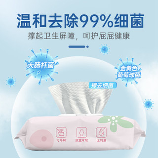 惠寻 京东自有品牌湿厕纸80片