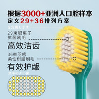 CCOKIO 刷毛硬的牙刷好，日本硬毛牙刷宽体宽楦宽头CCOKIO 4支装