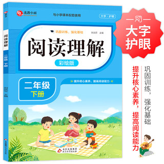 阅读理解 二年级下册 彩绘版 小学语文阅读理解专项训练