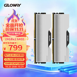 GLOWAY 光威 龙武系列 DDR5 6400MHz 台式机内存条 48GB套装