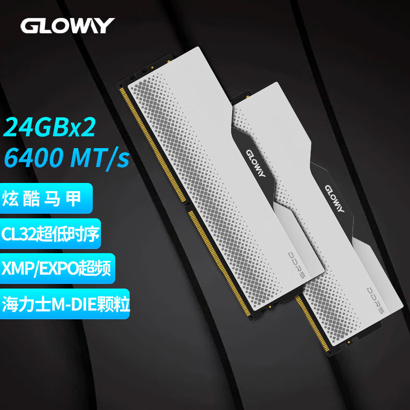 GLOWAY 光威 龙武系列 DDR5 6400MHz 台式机内存 马甲条 白色 48GB 24GBx2 海力士M-die颗粒