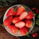 云南四季草莓 5斤（京东双十一补贴）