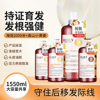 ZOOLY 卓蓝雅 洗护套装 (防脱育发洗发露800ml+250ml*2+生姜滋润修护护发素250ml)