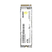 GLOWAY 光威 奕 NVMe M.2 固态硬盘 4TB（PCIe 4.0）