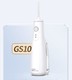 waterpik 洁碧 GS10-1 冲牙器