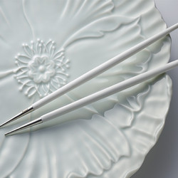 CUTIPOL 合金筷子家用高档新款不锈钢筷子个人专用尖头筷子拖套装
