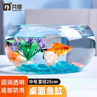 Gong Du 共度 玻璃鱼缸球形圆形缸生态草缸 中号裸缸 直径25cm 口径19cm 高度12cm
