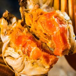 渔传播大闸蟹鲜活螃蟹现货全母2023两8只装