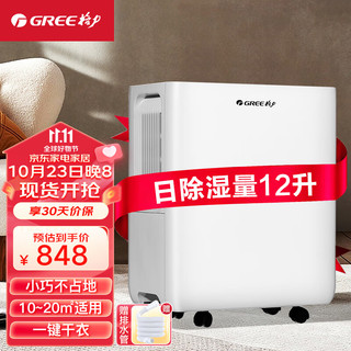 GREE 格力 除湿机/抽湿机除湿量12升/天家用轻音吸湿器地下室干燥机干衣净化除湿器 2-20㎡适用 DH12EOA2A