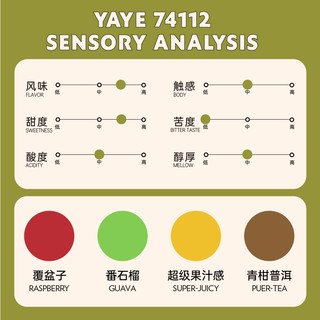 乔治队长埃塞俄比亚咖啡豆74110/74112丛林雅野套装组合100g*2罐