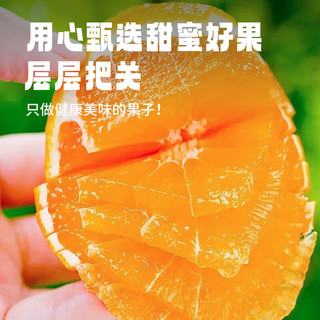 京上鲜 四川爱媛38号果冻橙 新鲜柑橘蜜桔当季时令水果 5斤装