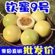 正宗广西钦蜜9号单果60g起净重2斤黄金百香果新鲜水果纯甜尝鲜装