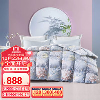 富安娜 FUANNA家纺 羽绒被芯白鹅绒被子冬天保暖加厚被芯被褥 冬被【白鹅绒+印花防羽】 230*229cm