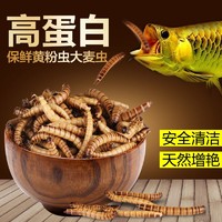 SUNSUN 森森 龙鱼银龙鱼饲料森森血鹦鹉鱼食大麦虫热带鱼发财鱼鱼粮罗汉鱼饲料