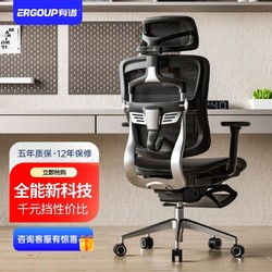 ERGOUP 有谱 金豪Y1人体工学椅电脑椅办公椅可升降旋转老板简约椅