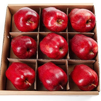 黄花地甘肃天水苹果新鲜当季现摘粉面苹果不打蜡新鲜当季水果 精选天水苹果 带箱9.5斤（净重8.5斤）20-24装