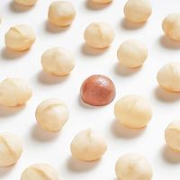 周皮皮 新货奶香味夏威夷果仁250g