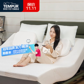 TEMPUR 泰普尔 记忆棉枕头枕芯护颈枕颈椎枕感温枕午睡枕午休枕随心魔方枕 标准款