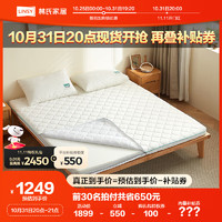 林氏家居卧室家用椰棕床垫天然黄麻床垫双人床硬垫床垫（厚10cm）1.5M*2M