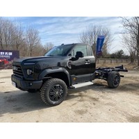 东风汽车 DONGFENG MOTOR 东风猛士MS600