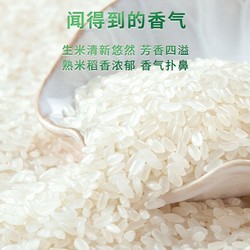 SHI YUE DAO TIAN 十月稻田 长粒香米10kg东北大米真空装20斤香米 2023年新米