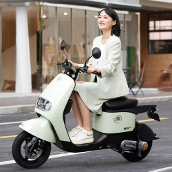 aima爱玛锂享x24新国标48v24ah可提锂电时尚豪华长续航电动自行车电瓶