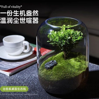 LVZU 绿族 苔藓微景观绿植物生态瓶成品生态缸办公室内书桌面创意盆栽小摆件