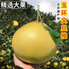 菲农 文旦柚 1粒装 单果3.5-4.5斤 浙江玉环老树白心柚子新鲜水果