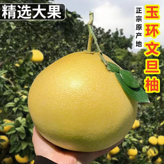 菲农 文旦柚 1粒装 单果3.5-4.5斤 浙江玉环老树白心柚子新鲜水果