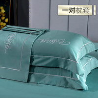 南极人纯棉枕头 枕套48x74cm一对装全棉枕巾枕芯套酒店高级双人枕头套 铂金兰【五星享受】 48x74cm【枕套一对装】