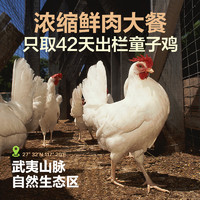 YANXUAN 网易严选 网易天成冻干生骨肉200g