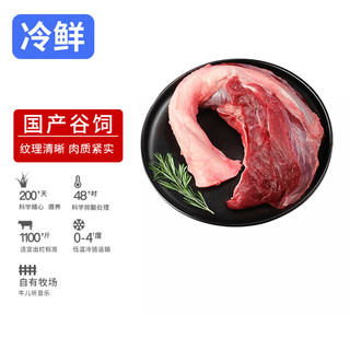 HONDO 恒都 冰鲜黄牛牛腱肉500g 冷藏 谷饲牛肉 炖煮食材