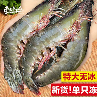 东上御品 青岛大虾基围虾鲜活青虾海鲜 14-16cm 气动大虾4斤