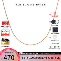 丹尼尔惠灵顿（DanielWellington） dw项链 密语系列项链数字字母吊坠 个性简约 灵动蛇骨链 DW00400398